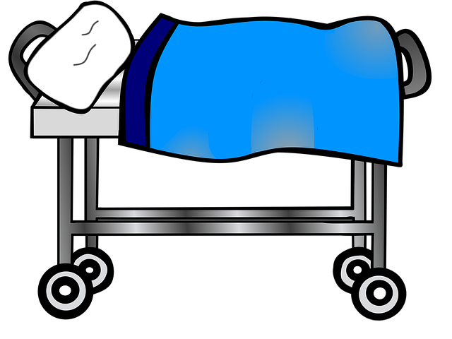 CRMA Scans &amp; Chiropractic Care for Car Collision Spinal Ligament Injury