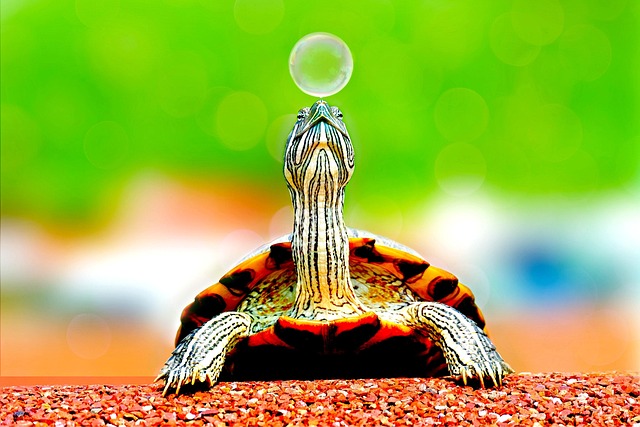 stiff-neck-640x480-81088640.jpeg