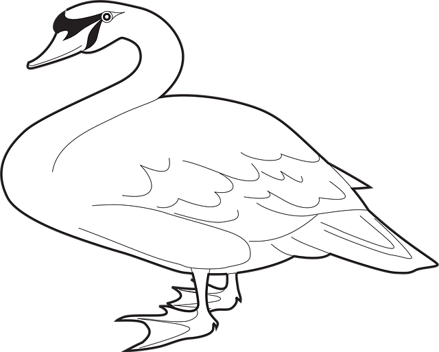 stiff-neck-640x480-82180554.png