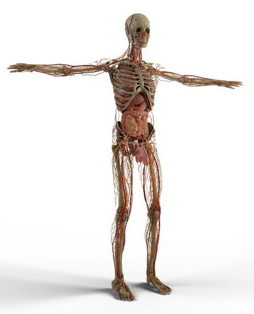 Pinched Nerves