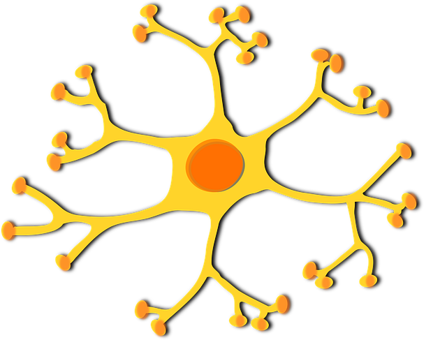 Pinched Nerves