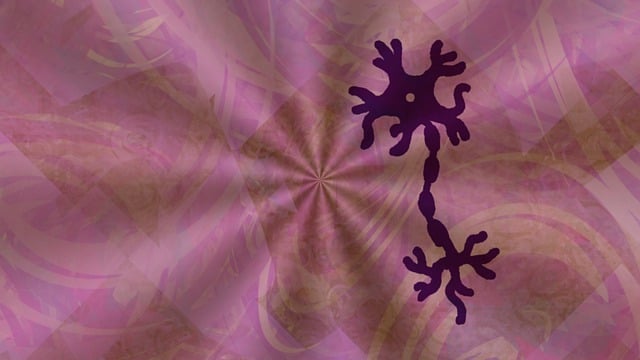 Pinched Nerves
