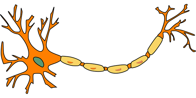 pinched-nerves-640x480-70232288.png