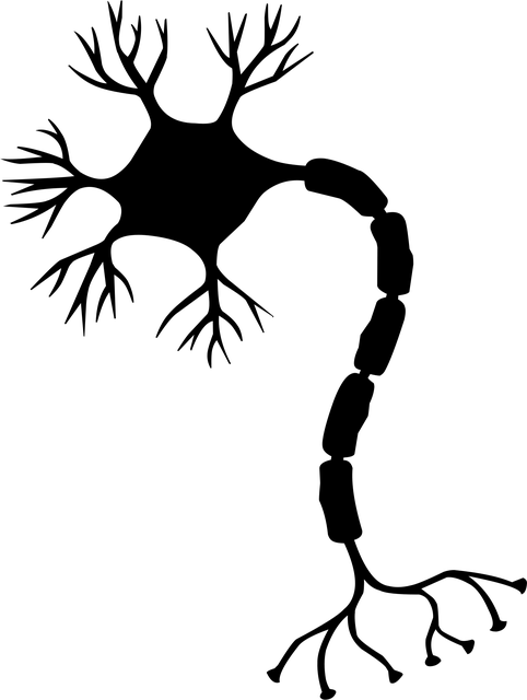 pinched-nerves-640x480-74140015.png