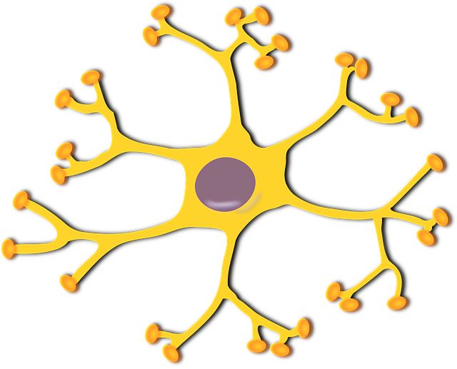 Pinched Nerves