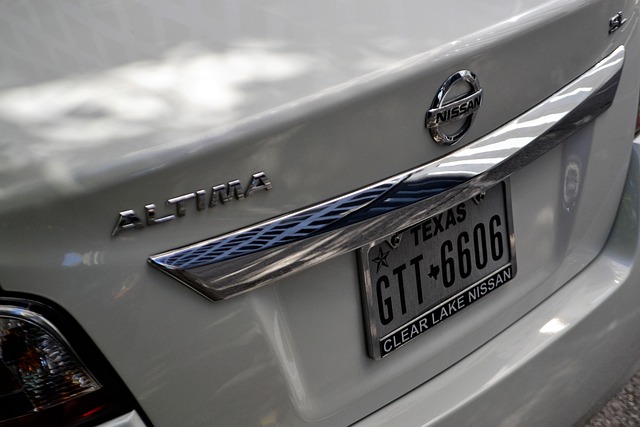 Rear End Car Collision