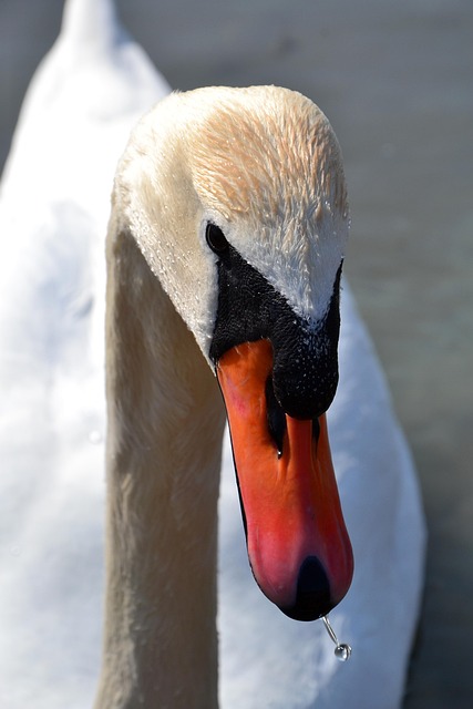 Stiff Neck