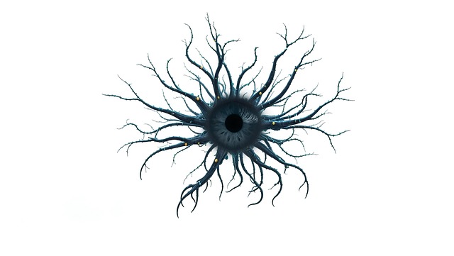 Pinched Nerves