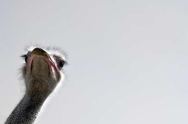 Stiff Neck